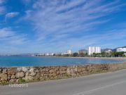 Benicassim (castellon)